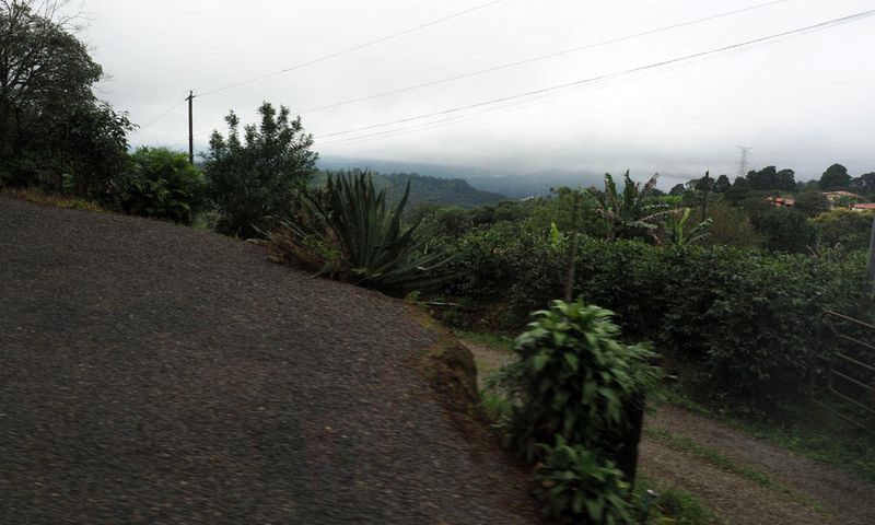 A sharp curve on rhe road