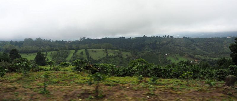 On the way to Zarcero