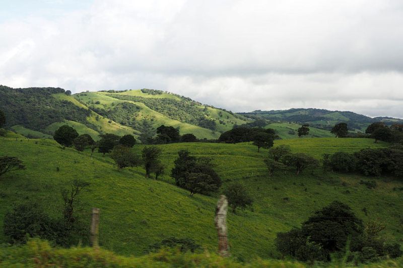 On the way to Monteverde