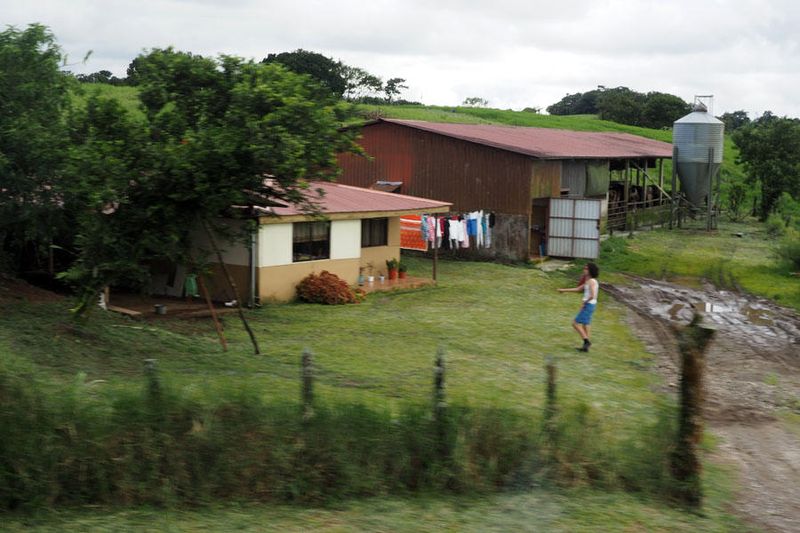 On the way to Monteverde