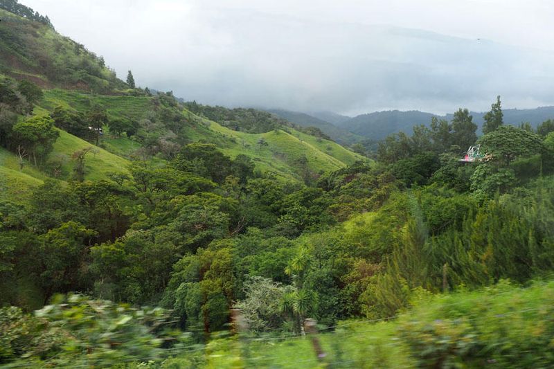Approaching Monteverde