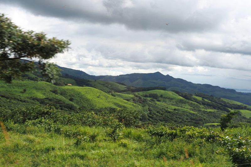 On the way to Monteverde