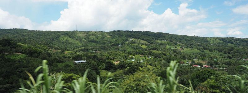 On the way to Monteverde