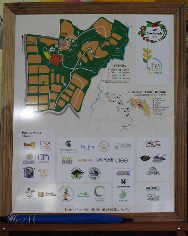 Layout of Cafe Monteverde