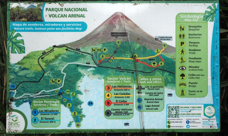 The trails in the park
