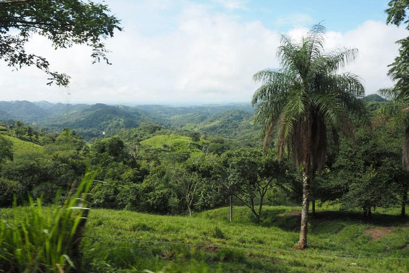 On the road leaving Monteverde