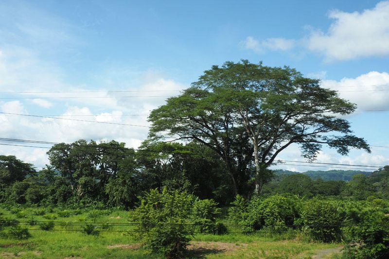 Scenery on the way from Jaco the Manuel Antonio