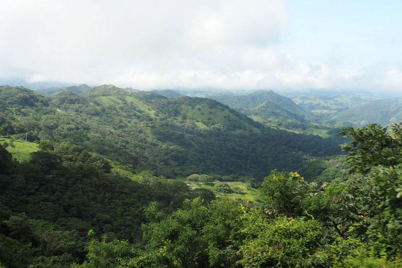 A view departing Monteverde