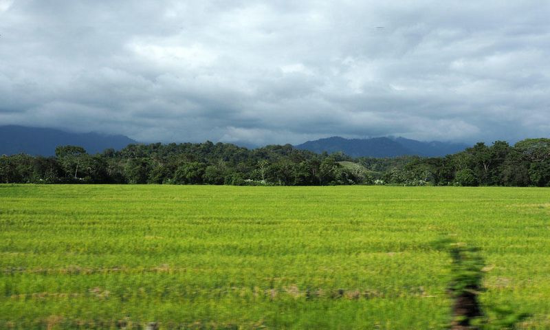 Farm on the way from Jaco to Manuel Antonio