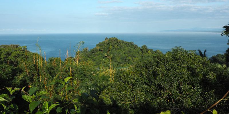 A view of the ocean from the main road