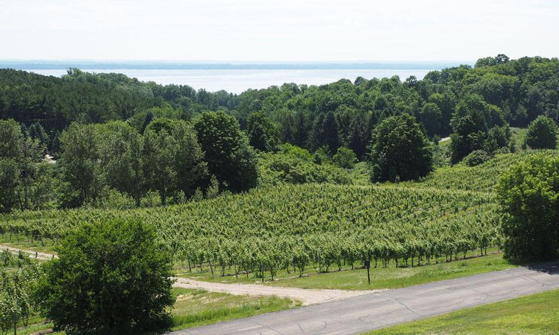 View from Chateau Chantal Winery