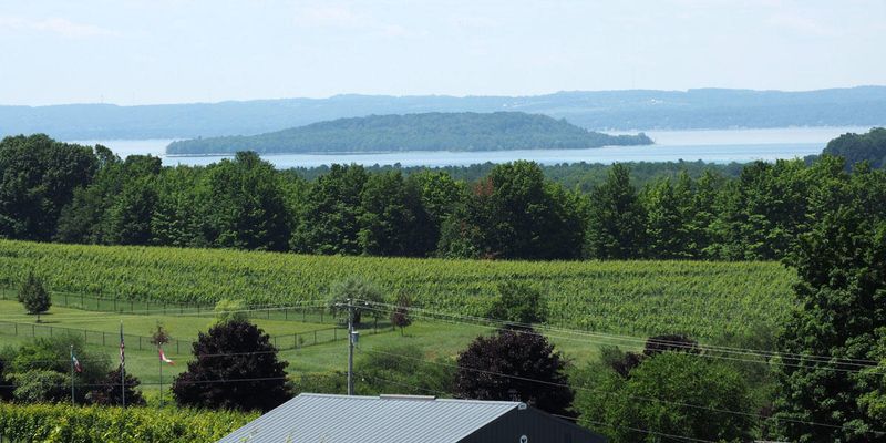 View from Chateau Chantal Winery