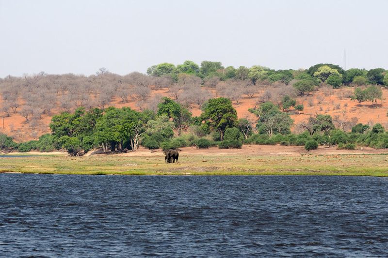 A mother and baby elephant considering whether to cross the water