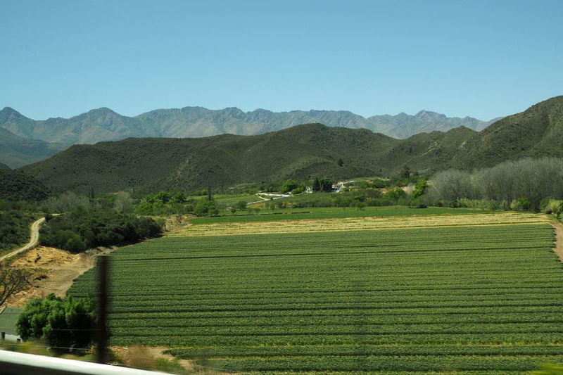 Farm on the way from Knysna to Oudtshoorn