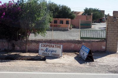 The entrance to the womens argan cooperative near Essaouira