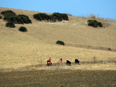 On the way from Rabat to Tangier