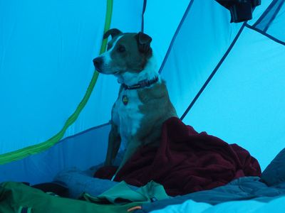 In the tent on a cold morning