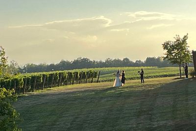 Pictures being taken of bride and groom at Stone Tower Winery