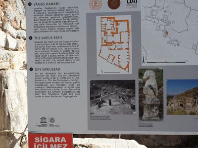 g13/55/529055/3/174100898.a6de804d.JPEG