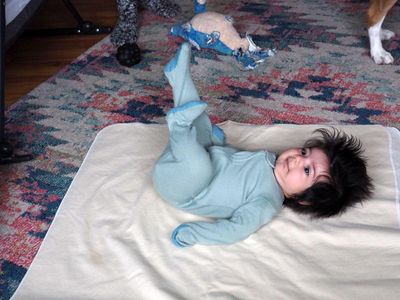 g13/55/529055/3/174107715.5a332f32.JPEG