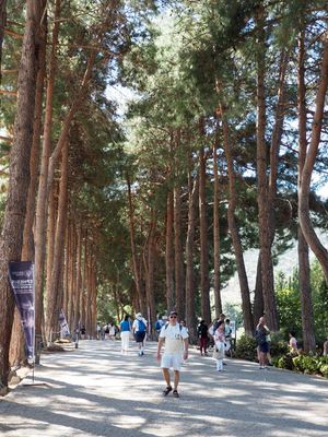 The pathway we took out of Ephesus