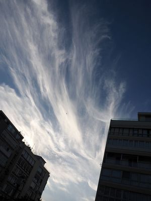 g13/55/529055/3/174137298.eb22e781.JPEG