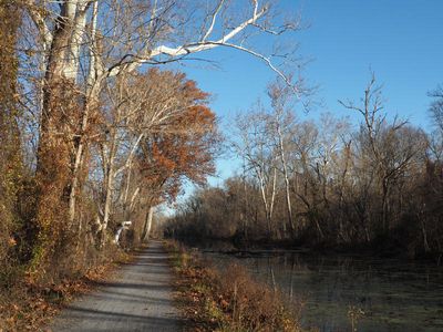 Nov 19th - Hike from Dickerson Conservation center