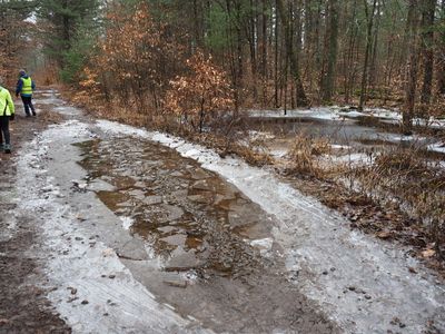 Ice on the trail