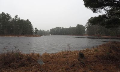 Gilman Pond