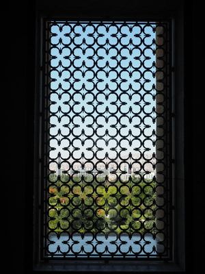 g13/55/529055/3/174335005.04e25d67.JPEG