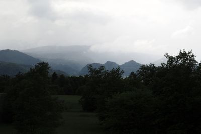 g13/55/529055/3/174623723.b7c4f8cb.JPEG