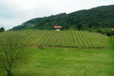 Exploring outside of Zagreb, Croatia