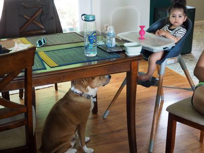 Waiting for food!