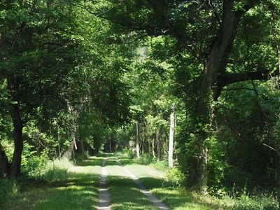The old towpath near Hancock
