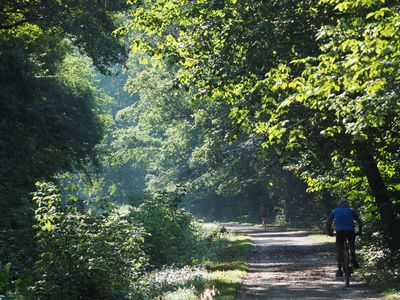 Morning activity on the trail