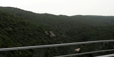 g13/55/529055/3/174861733.d7a3d768.JPEG