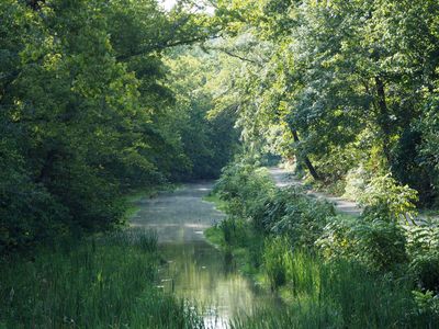 Aug 21st - From the bridge at Violette's Lock