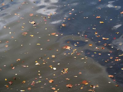 Nearly Autumn