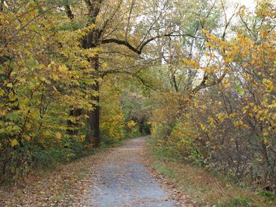 Autumn comes to our part of the world