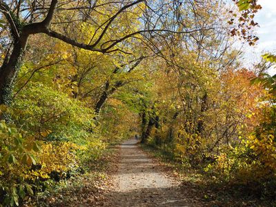 Autumn colors
