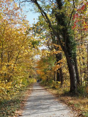 Autumn colors