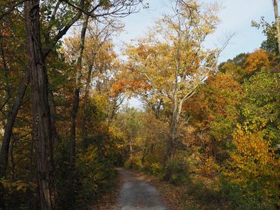 Autumn colors