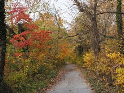 Autumn colors