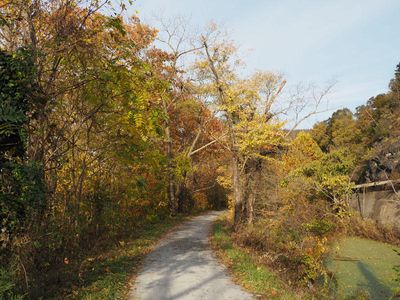 Autumn colors