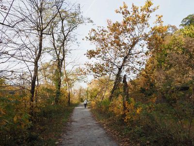 Autumn colors