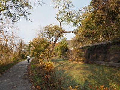 Autumn colors