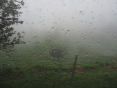 g13/55/529055/3/175034604.98619d2c.JPEG