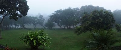 g13/55/529055/3/175040155.d21fcbb2.JPEG