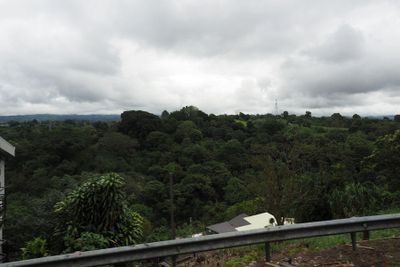 g13/55/529055/3/175050165.4e4db22f.JPEG