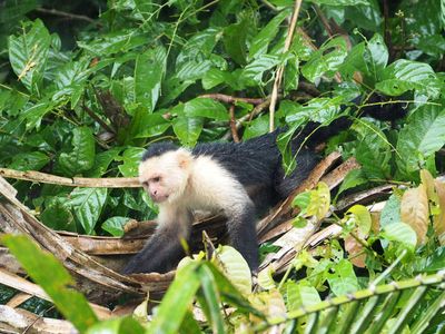 Visit to Los Chiles, Costa Rica